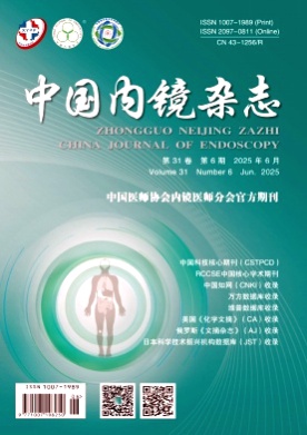 中国内镜杂志杂志